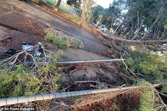 या आठवड्यात ऑस्ट्रेलियाला एक क्रूर उष्णतेची लाट येणार आहे आणि तापमान 47C पेक्षा जास्त आहे – जंगली वादळ दक्षिण ऑस्ट्रेलियाला धडकल्यानंतर
