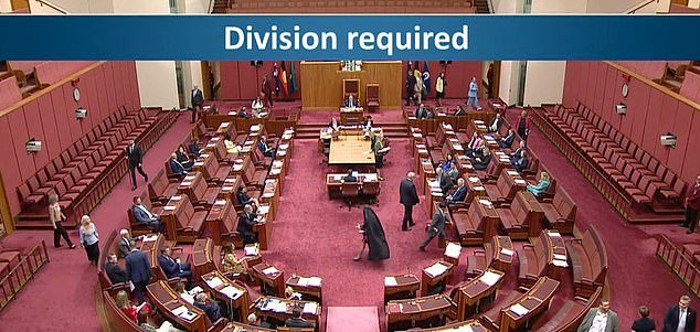 जेव्हा पौलिन हॅन्सनने प्राचीन बुरखा घालून आश्चर्यचकित केले आणि तिची कट्टर शत्रू मेहरीन फारुकी यांनी तिला “वंशवादी” म्हटले – आणि पेनी वोंगचा स्फोट झाला तेव्हा सिनेटमध्ये गोंधळ झाला.