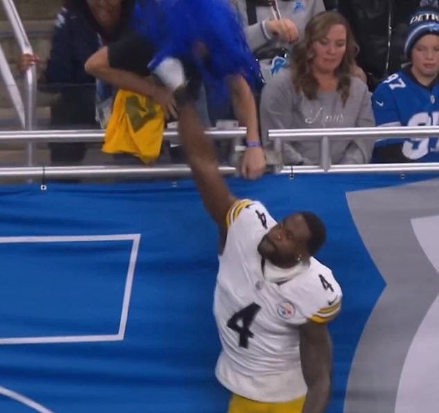 स्टीलर्स स्टार डीके मेटकाल्फने लायन्स फॅनवर स्विंग करताना पकडल्यानंतर दोन गेमवर बंदी घातली