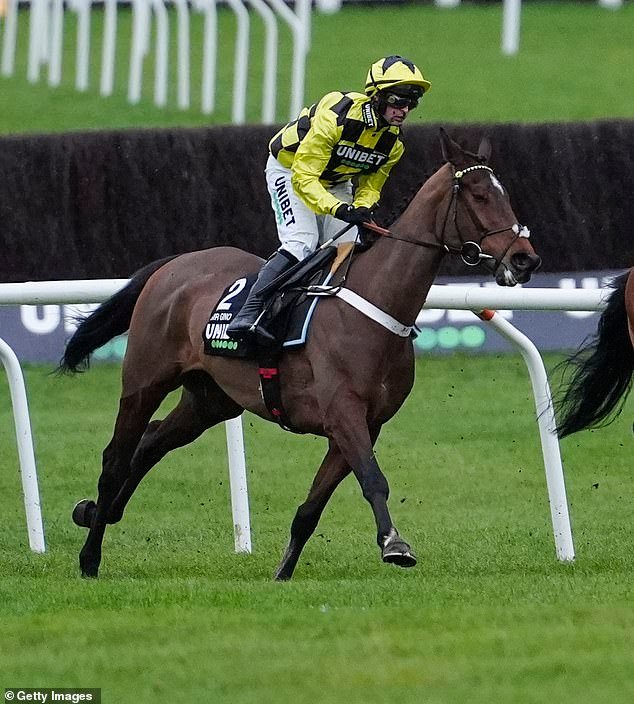 चेल्तेनहॅमचे आवडते सर गिनो पाय लंगडे झाल्यानंतर त्याचा जीव वाचवता येईल का हे पाहण्यासाठी घोडेस्वार रुग्णालयात दाखल झाले.