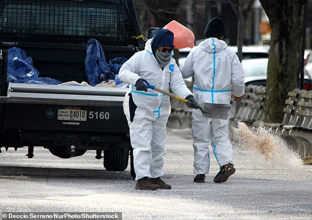 35 राज्यांमध्ये 2,300 मैल लांबीचे “आइसमॅगॉन” वादळ आल्याने तीन शहरांमध्ये सर्वाधिक बर्फ पडणार आहे.