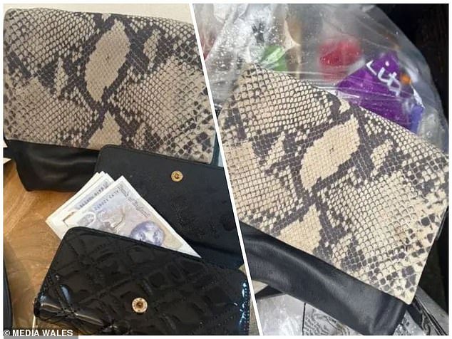 उशीरा ख्रिसमस चमत्कार: बाई तिची हँडबॅग आणि आत £500 घेऊन पुन्हा एकत्र आली… रीसायकलिंग करताना चुकून ती बंद केल्यावर