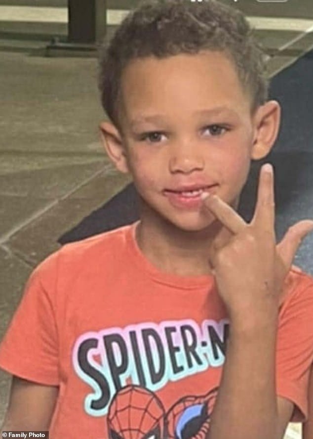 एका आईला तिचा 6 वर्षांचा मुलगा बर्फाळ तलावात पडल्याने आणि 8 आणि 9 वर्षांच्या भावांनी त्याला वाचवण्यासाठी आत उडी घेतल्याने एका अकल्पनीय तिहेरी शोकांतिकेचा सामना करावा लागला.