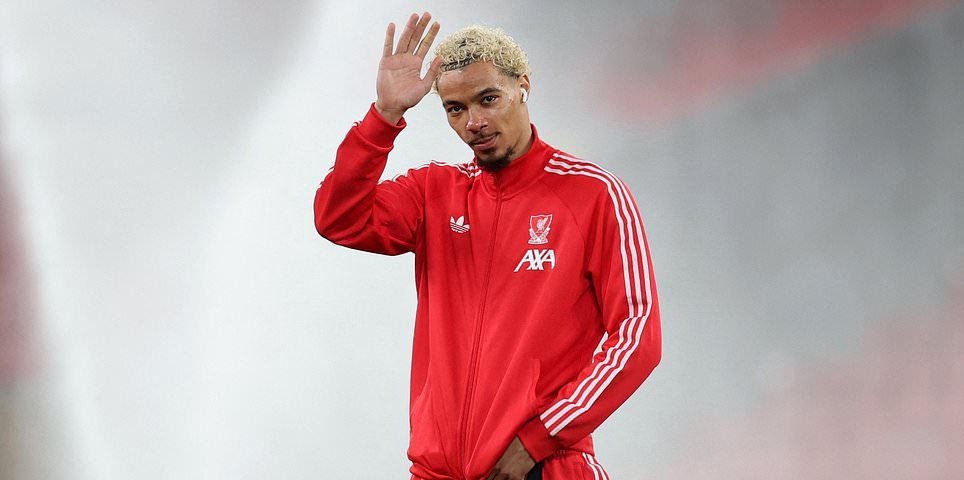 लिव्हरपूल विरुद्ध ब्राइटन – एफए कप लाइव्ह: ताज्या स्कोअर, टीम न्यूज आणि अपडेट्स रेड्सचे लक्ष्य आर्ने स्लॉटच्या नावाप्रमाणे अतिशय मजबूत लाइनअपसह पाचव्या फेरीसाठी आहे