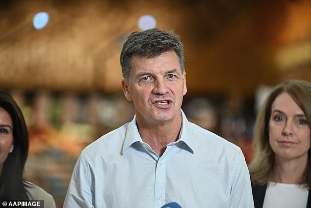 तेरा देशांची गुप्त यादी ज्यांच्या स्थलांतरितांना ऑस्ट्रेलियात जाण्यास बंदी घातली जाईल लीक: एक स्फोटक ट्रम्प-शैलीचा उदारमतवादी प्रस्ताव उदयास आला