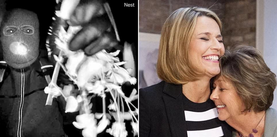 नॅन्सी गुथरी पोलिसांनी उघड केले की वॉलमार्टमध्ये खरेदी केलेले कपडे डोअरबेल कॅमेरा संशयित परिधान केले होते कारण तपासकर्ते कौटुंबिक सहभागापासून दूर जातात: थेट अद्यतने