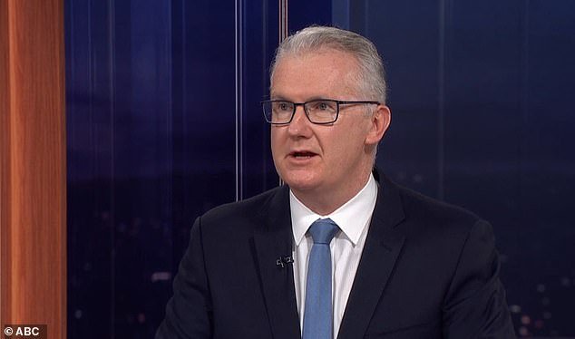 आयएसआयएसच्या नववधूंकडे ऑस्ट्रेलियन पासपोर्ट आहेत: टोनी बर्कने सीरियामध्ये लेबर ‘प्रतिनिधी’ला मदत करण्याबद्दल तपशील समोर आल्याने बॉम्बफेक कबूल केले