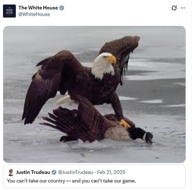 टीम यूएसए हिवाळी ऑलिम्पिक सुवर्ण जिंकल्यानंतर व्हाईट हाऊसने कॅनडाला निर्दयपणे ट्रोल केले