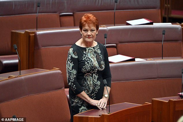 रॉय मॉर्गन पोलमध्ये NSW मध्ये वन नेशन आघाडीवर आहे