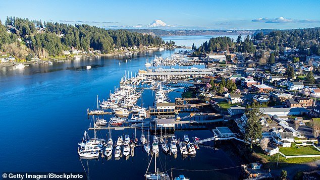 वॉशिंग्टनच्या एका विचित्र पाणवठ्यावरील उपनगरातून एका चाकूने चालवलेल्या वेड्याने किमान चार जणांचा बळी घेतला.