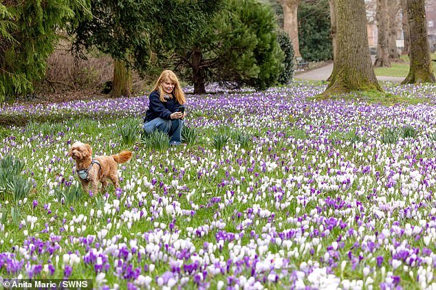 ब्रिटन आज Ibiza आणि Corfu पेक्षा जास्त उबदार असेल, तापमान 18C पर्यंत पोहोचण्याची अपेक्षा आहे – परंतु ते फार काळ टिकणार नाही.