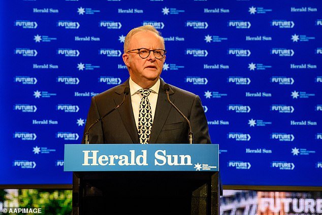 अँथनी अल्बानीजने ग्रेस टॅमीबद्दलच्या त्याच्या एका शब्दाच्या टिप्पणीवर टीका केली आहे आणि ती परत मारत आहे