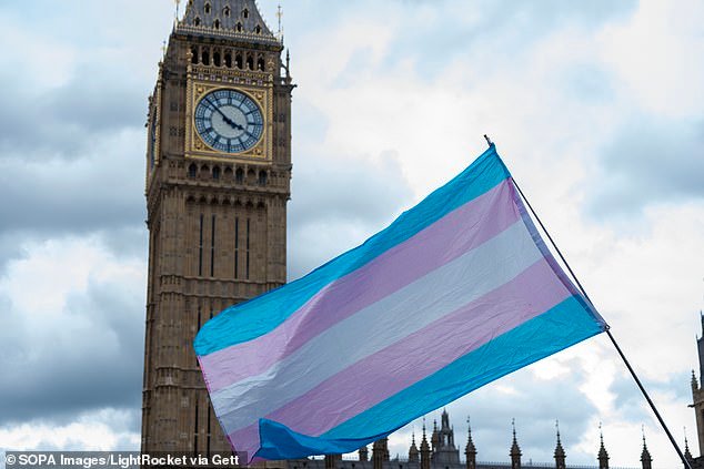 ग्रीन्स म्हणतात की ट्रान्स स्पोर्ट्स बंदी ही वर्णद्वेषी आहे – कारण ते ‘मासिक पाळी आलेल्या लोकांसाठी’ मोफत मासिक पाळीच्या उत्पादनांचा आग्रह करतात