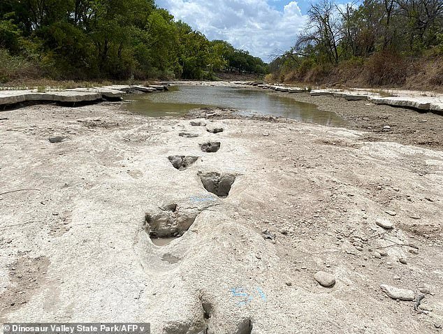 फ्युरीचे 100 दशलक्ष वर्ष जुने डायनासोर पार्क नवीन एआय डेटा सेंटरद्वारे नष्ट केले जाऊ शकते