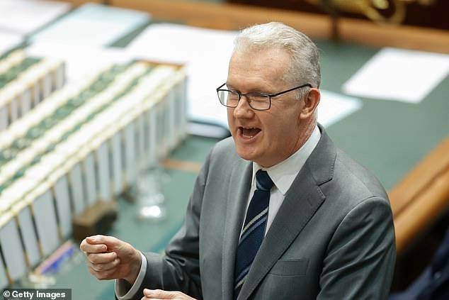 नाट्यमय क्षण, ॲक्शन कॉकस बिलाने तृतीय पक्षांना आयएसआयएस वधूंना मदत करण्यावर बंदी घातली – कारण टोनी बर्कने प्रस्तावित कायद्याची निंदा केली