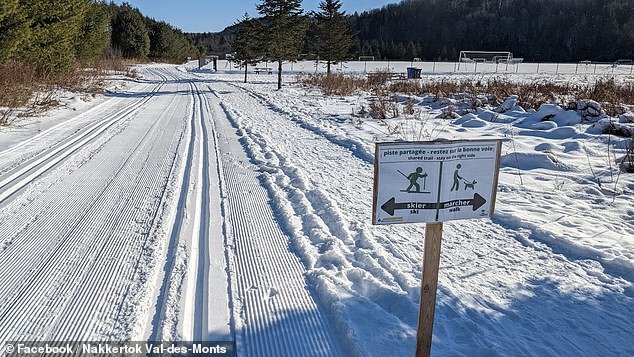 स्लेडिंगच्या विचित्र अपघातात 4 वर्षांच्या मुलीचा मृत्यू झाला तर एका प्रौढाने तिला बर्फातून खेचले.