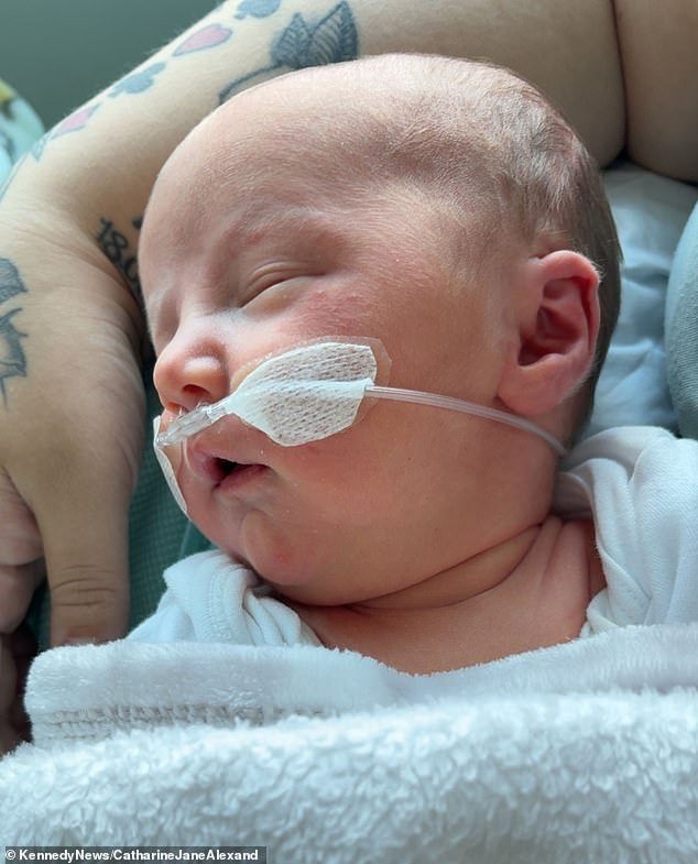 एका नवजात बाळाला अनवधानाने तीन प्रकारचे “विषारी” बाळ फॉर्म्युला खायला दिल्याने अनेक महिने वेदना भोगल्या.