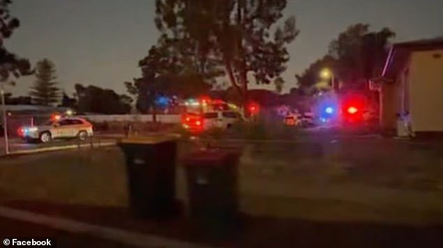 ॲडलेडमधील एलिझाबेथ डाउन्सच्या घरात एक मूल मृतावस्थेत आढळल्यानंतर पोलिसांनी तातडीने तपास सुरू केला