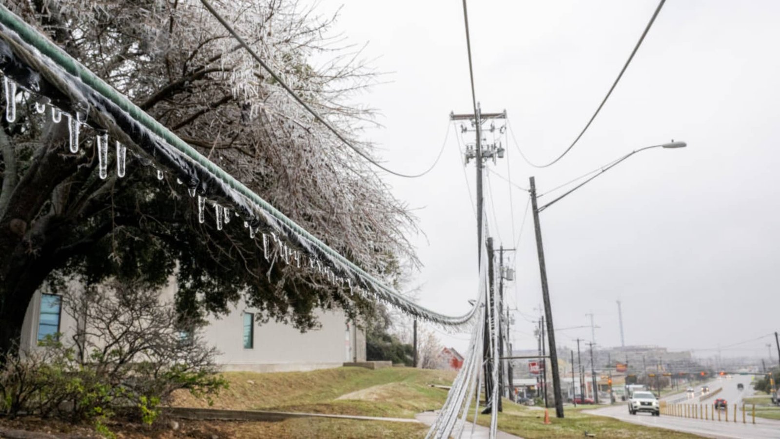 हिवाळी वादळ फर्न लक्षणीय वीज खंडित होऊ शकते