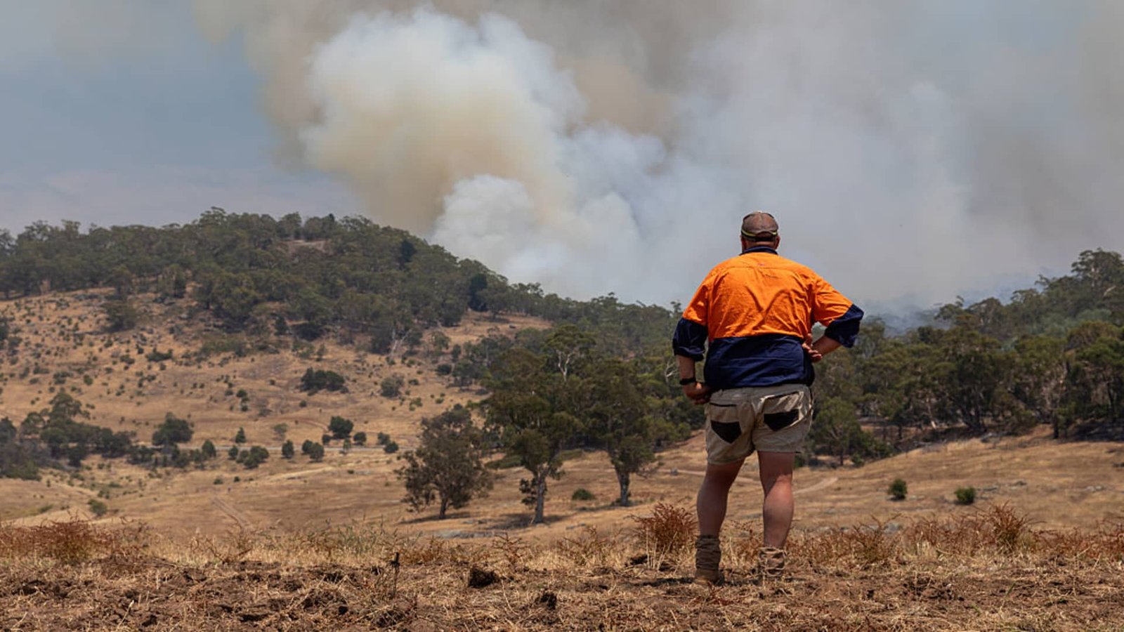 आपत्ती रोखे मार्केट सध्या इतके गरम का आहे
