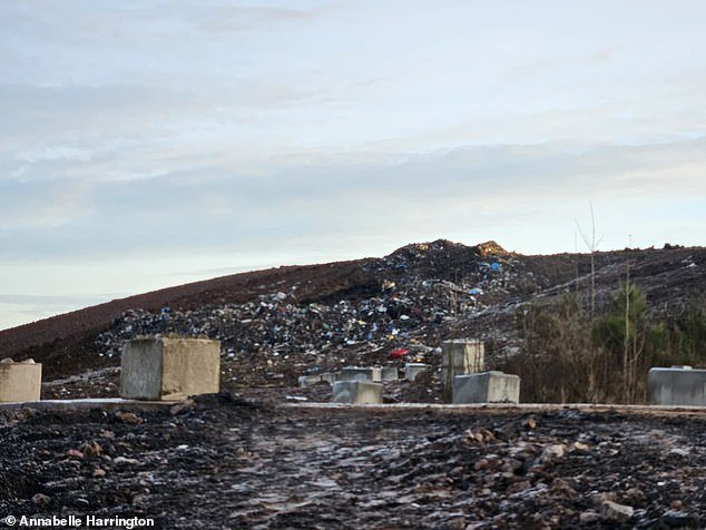 कुजलेल्या अंड्यांचा वास येणाऱ्या “नीच” कचऱ्याच्या ढिगाऱ्यावर आणि त्यांच्या नयनरम्य गावाचे “नियंत्रण” पाहून रहिवासी संतप्त झाले आहेत.