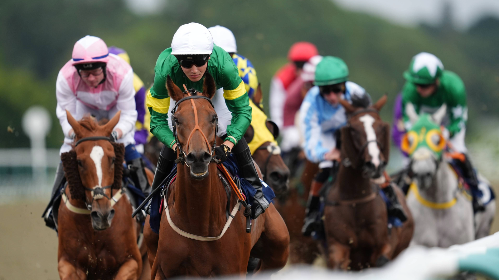 1766388076_skysports-lingfield-park-horse-racing_7049386.png