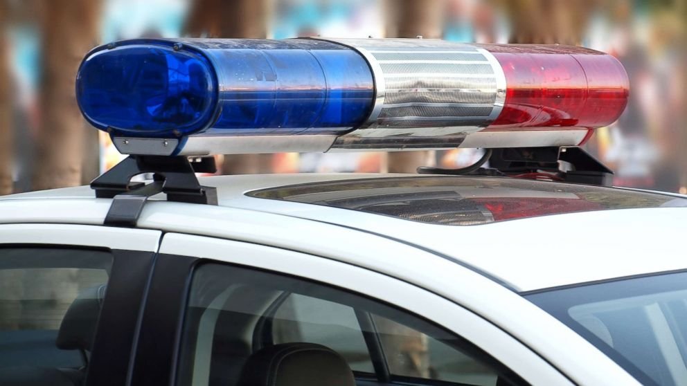 पर्वतीय सिंह शहराच्या रस्त्यावर फिरत असताना सॅन फ्रान्सिस्कोने इशारा दिला आहे