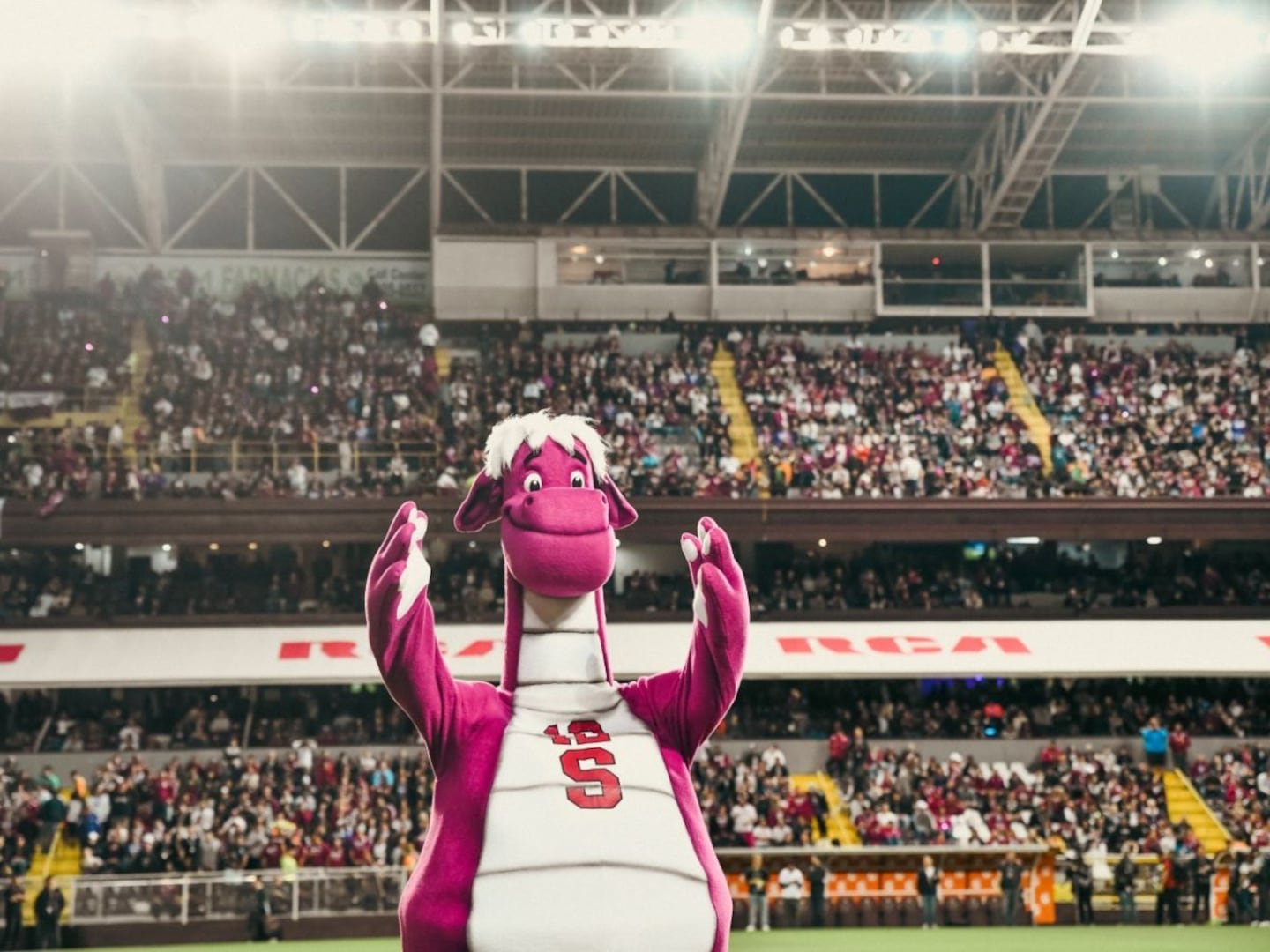 सप्रिसाने निवडणुकीपूर्वी नागरिकांशी संवाद साधला