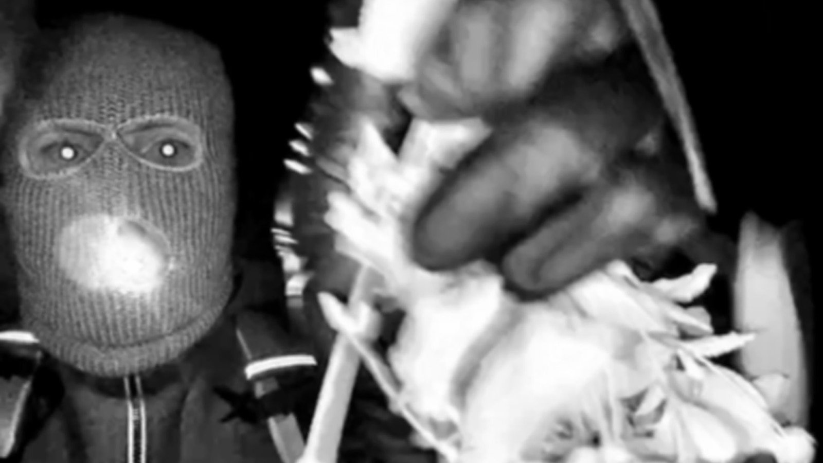 नॅन्सी गुथरीचे अपहरण करणाऱ्या संशयिताबद्दल आम्हाला काय माहिती आहे