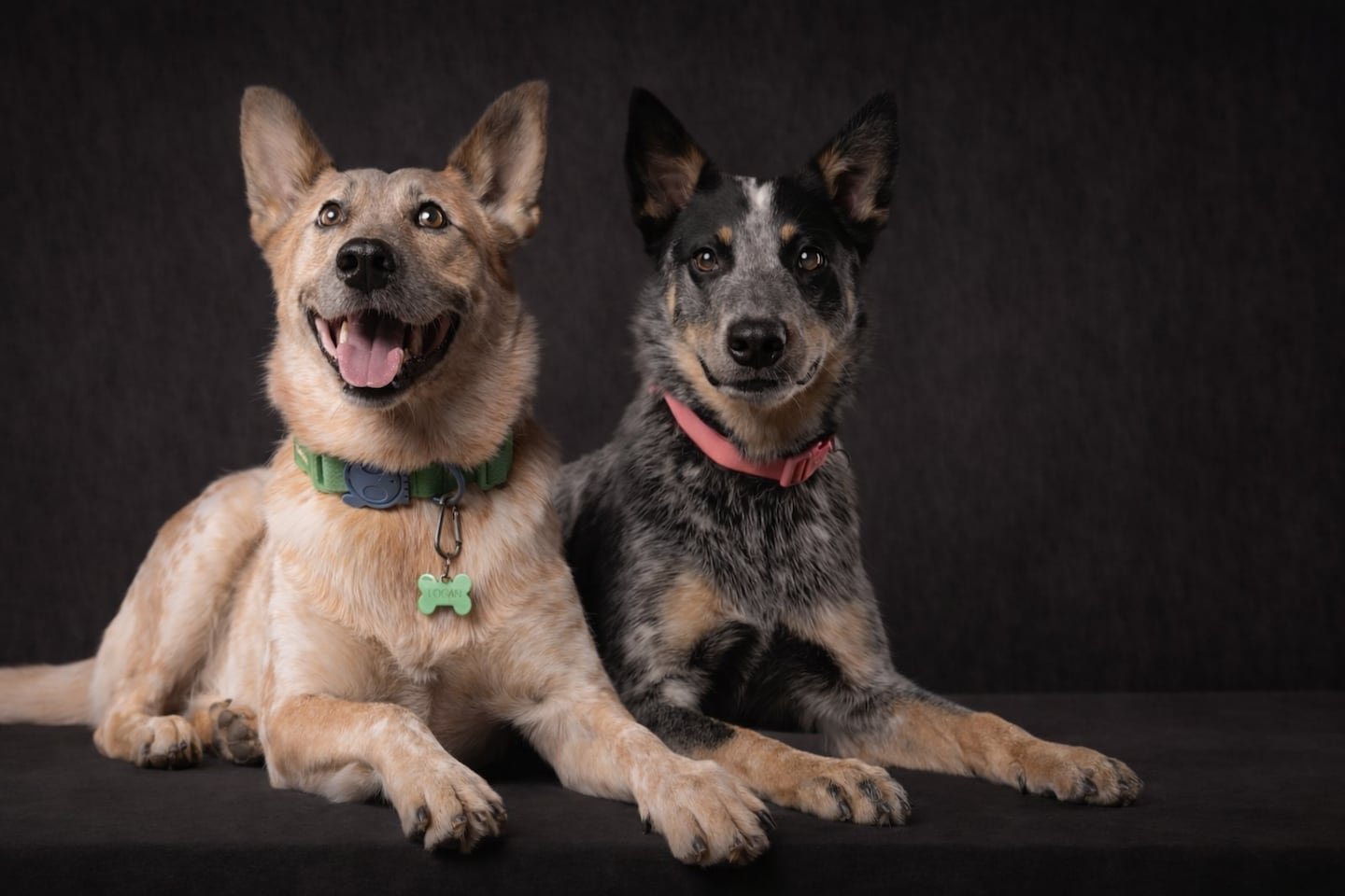 लोगान मालक आशावादी अपडेट देतो: “मृत्यूला विरोध करणारी वृत्ती आहे”