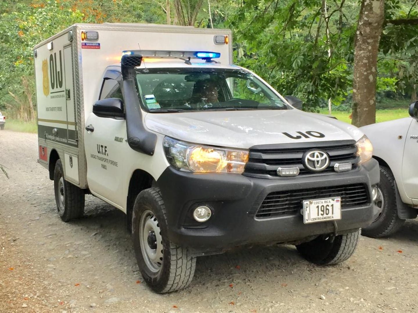 आफ्रिकन पाम मळ्यात काम करत असताना एका माणसाचा वेदनादायक मृत्यू झाला आहे