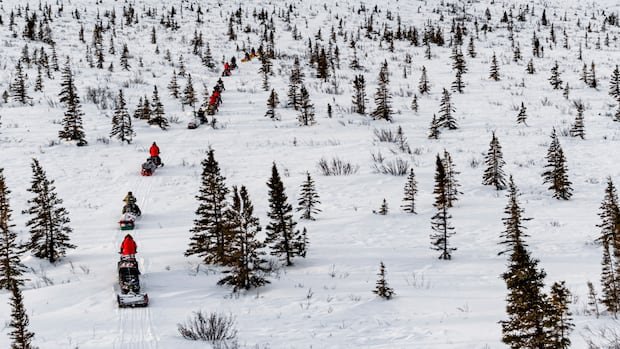 प्रतिनिधी बोलत असताना, आर्क्टिक सुरक्षेमध्ये रस वाढत असताना रेंजर्स ट्रेक करत आहेत