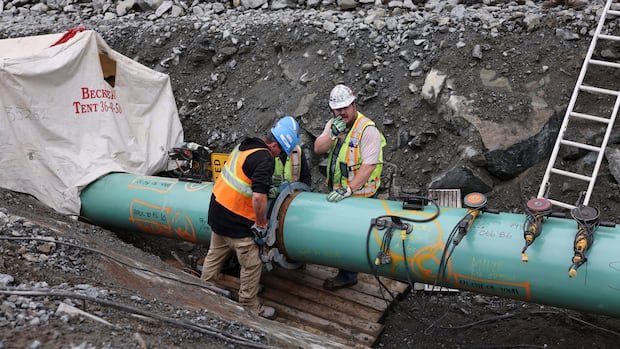 कॅनडा ‘जगातील सर्वात मोठा LNG पुरवठादार’ बनणार: ऊर्जा मंत्री