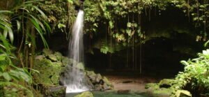 डोमिनिकामध्ये जानेवारीमध्ये यूएस पर्यटकांच्या आगमनात सुमारे 8% वाढ झाली आहे, ट्रॅव्हल साइटने म्हटले आहे