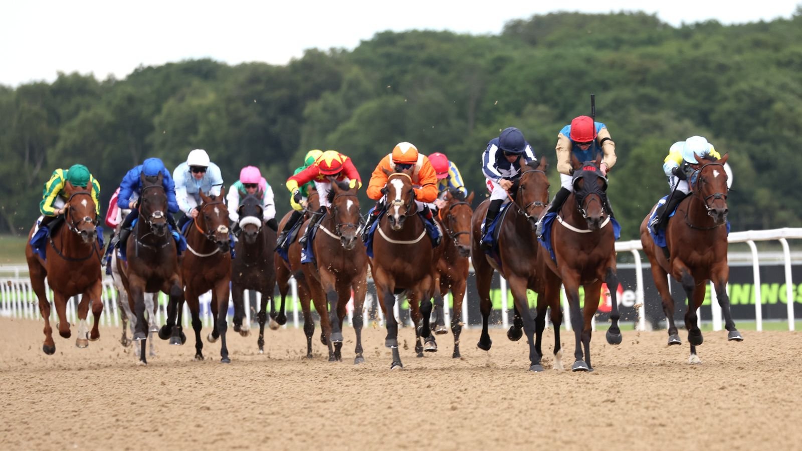 आज स्काय स्पोर्ट्स रेसिंग वर: लिंगफील्ड आणि न्यूकॅसल वैशिष्ट्य | रेसिंग बातम्या