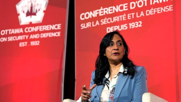 परराष्ट्र मंत्री आनंद म्हणाले की, नाटोने उत्तरेकडे लक्ष दिले पाहिजे