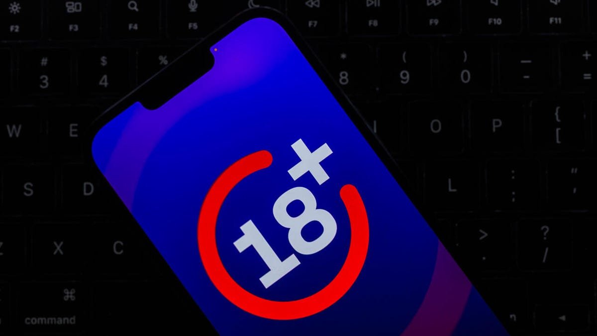 मुलांचा इंटरनेट सुरक्षा कायदा भाषण स्वातंत्र्य आणि नागरी हक्कांबद्दलच्या चिंतेमध्ये घराघरात पोहोचला