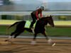 2026 Preakness Stakes: आज कसे पहायचे, घोडे, शक्यता, पोस्ट वेळा, कुठे प्रवाहित करायचे आणि बरेच काही