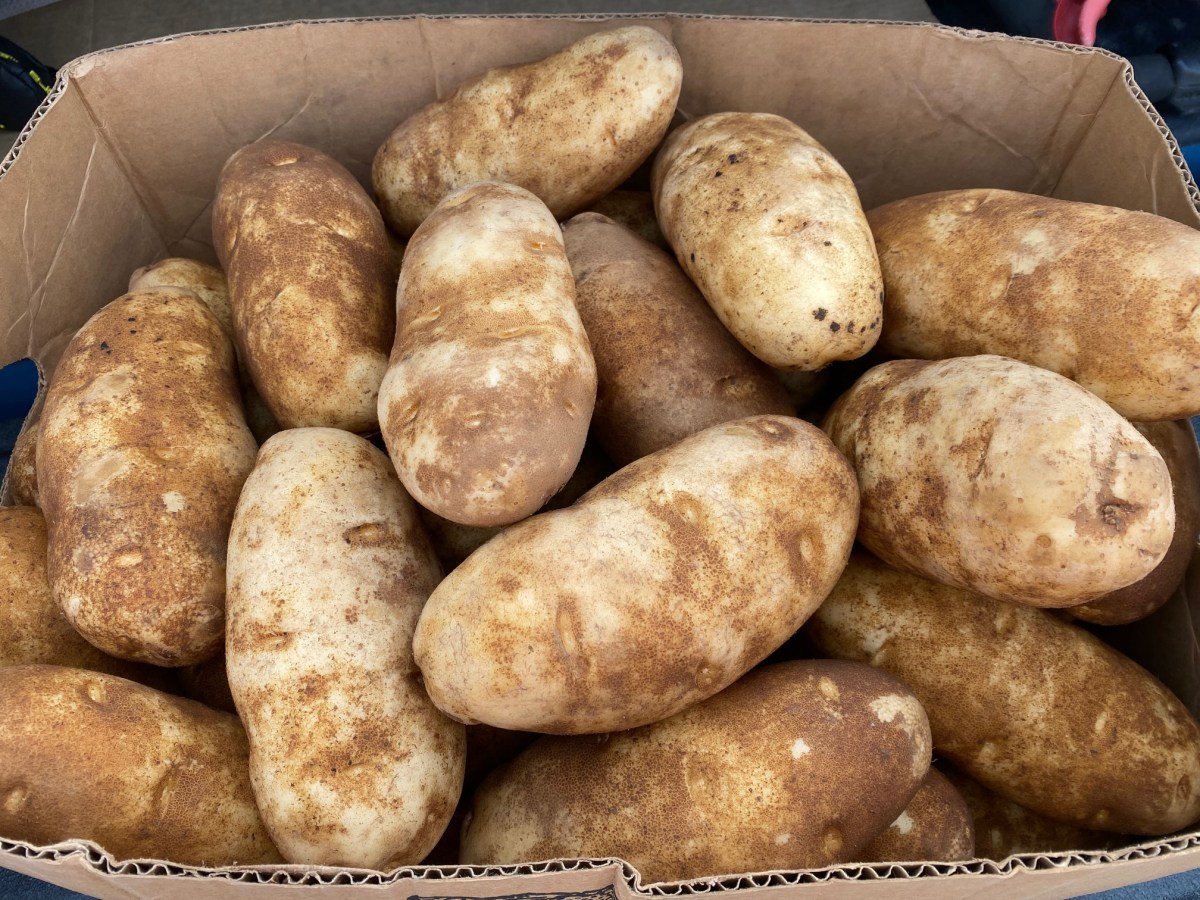 पॅन्ट्रीची वस्तू महिनोनमहिने ‘लपलेली’ ठेवली – जे काही समोर आले त्यामुळे कुटुंब ‘भयभीत’ झाले