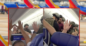 गन ड्रोनसह पोलिसांद्वारे नैऋत्य फ्लाइट, व्हिडिओ