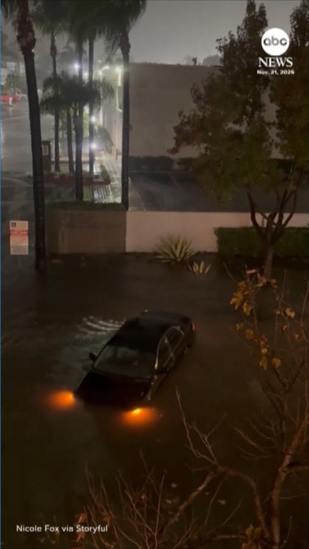 पहा: रूममेट कॅलिफोर्नियाच्या पुराच्या पाण्यात अडकलेल्या व्हिएतनाम पशुवैद्यांना वाचविण्यात मदत करतात