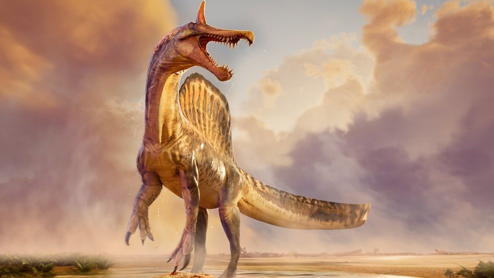 पहा: शास्त्रज्ञांनी नवीन डायनासोर प्रजाती शोधून काढली आहेत जी अंदाजे टी-रेक्सच्या आकारात आहेत