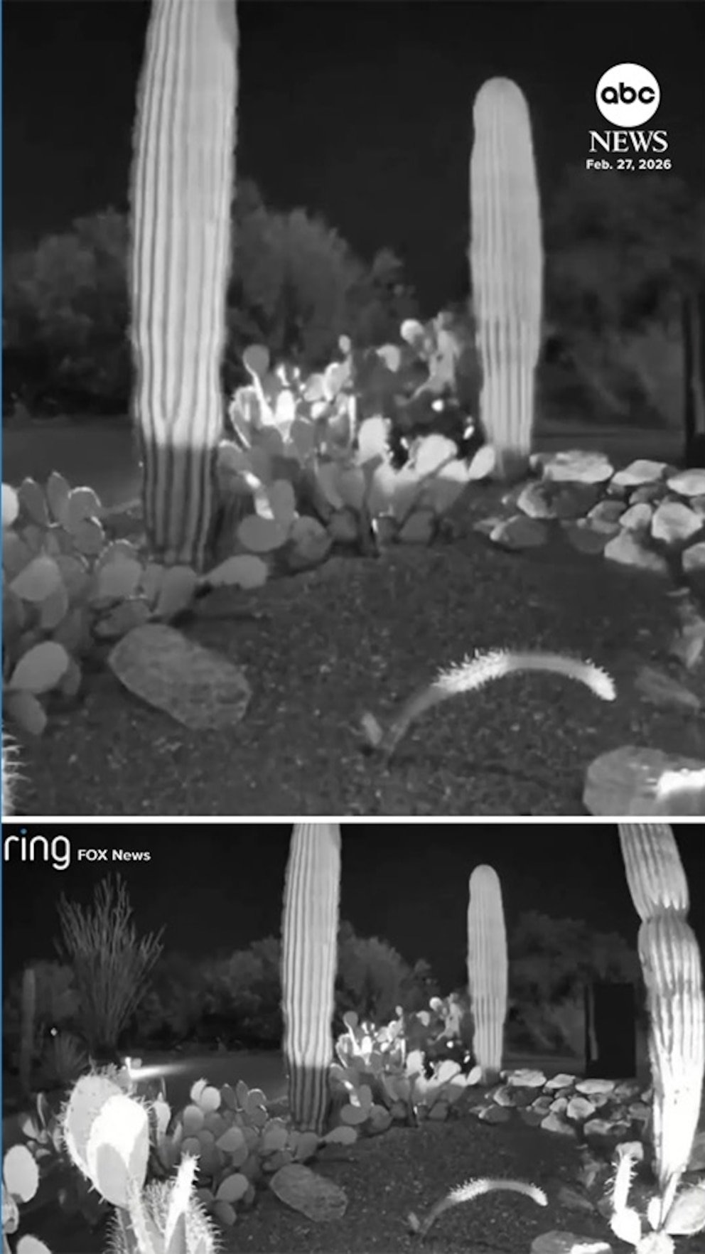 नॅन्सी गुथरी तपासात व्हिडिओ कारचा नवीन व्हिडिओ समोर आला आहे