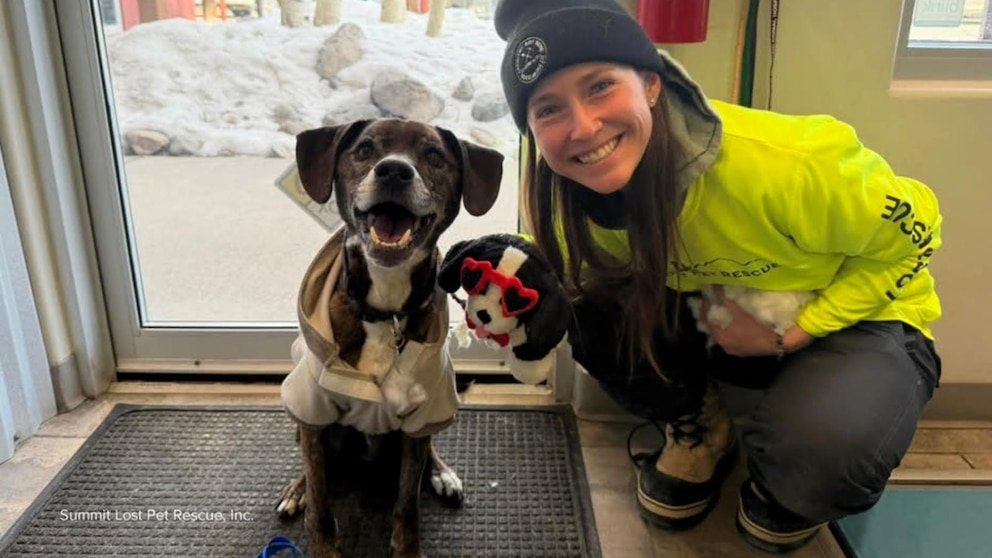 पहा: कोलोरॅडो कुटुंबाने डेव्हिड मुइरला 43 दिवसांपासून हरवलेल्या कुत्र्याशी पुन्हा एकत्र येण्यास सांगितले