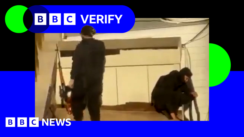 नवीन इराणी व्हिडिओमध्ये रुग्णालयांमध्ये मृतदेह आणि छतावर स्निपर पडलेले दिसतात