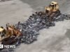 NYC क्राईम क्रॅकडाउनमध्ये शेकडो बेकायदेशीर मोटारसायकल बुलडोझ केल्या