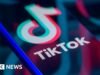 TikTok मूर्ख चुका नंतर AI-व्युत्पन्न व्हिडिओ वर्णन ट्रिम करते