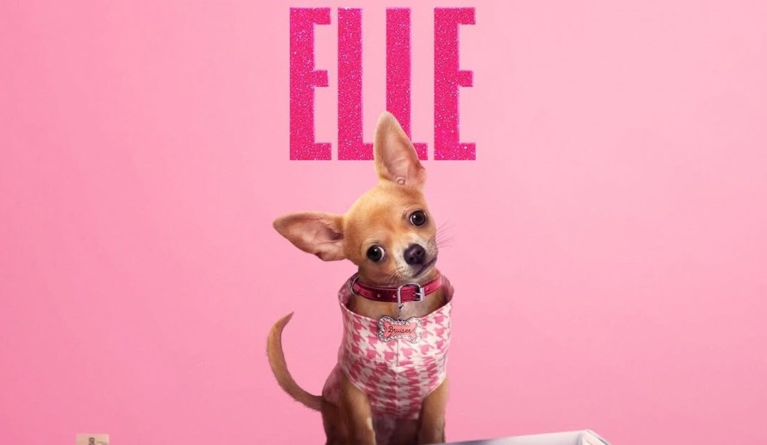 एले, “कायदेशीरपणे ब्लोंड” च्या प्रीक्वलची रिलीजची तारीख आधीच आहे