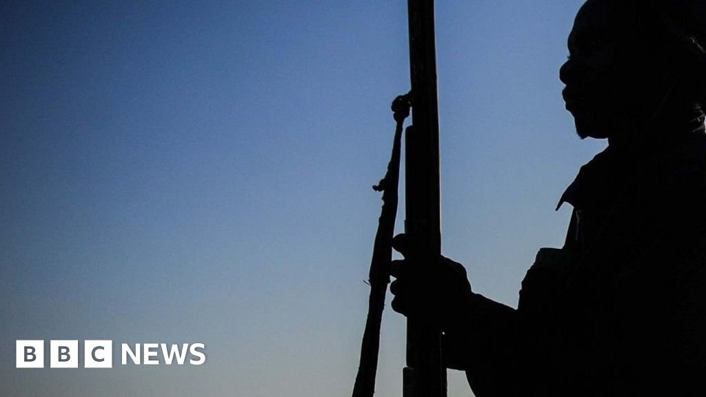 नायजेरियातील ताज्या हल्ल्यात बंदूकधाऱ्यांच्या हातून ‘मोठ्या’ संख्येने लोक मारले गेले, असे सिनेटरने बीबीसीला सांगितले