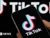 आता TikTok चे मालक कोण आहेत आणि यूएस वापरकर्त्यांसाठी ते कसे बदलू शकते?